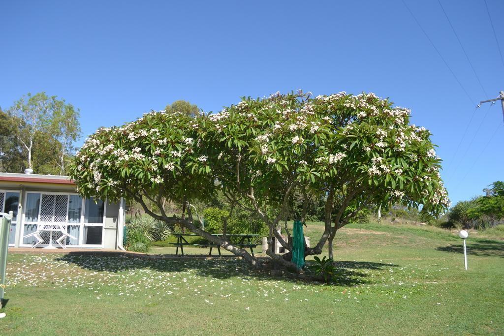 Ocean View Motel Bowen Exterior foto